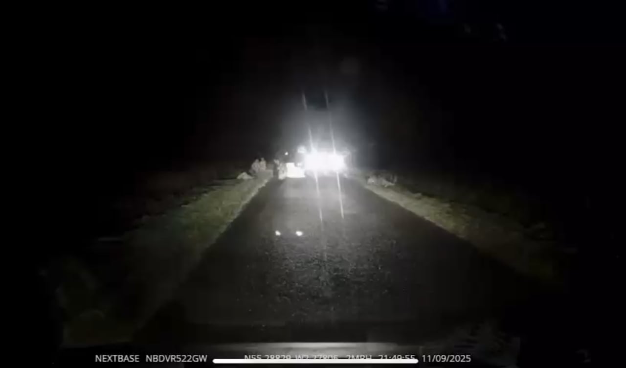 "I only went for a drive."