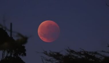 Stargazers wake early for glimpse of blood moon