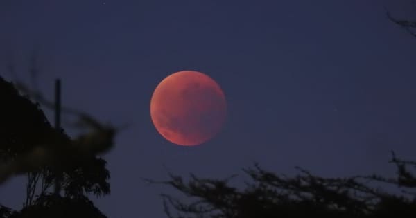 Stargazers wake early for glimpse of blood moon