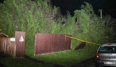 Over 100 callouts as strong winds, rain batter upper North Island