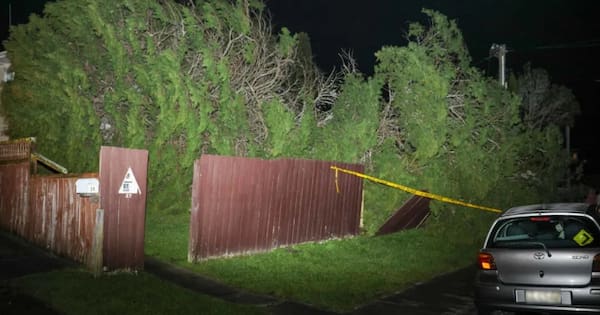 Over 100 callouts as strong winds, rain batter upper North Island