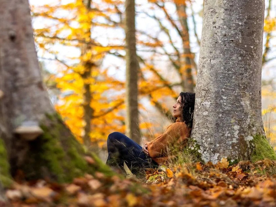  The mindful, meditative practice of forest bathing is thought to be therapeutic in Sweden.