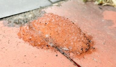 What is this mystery goop outside my house?