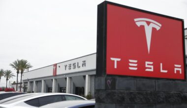 New Tesla vehicle registrations plummeted 39 per cent in August in Germany, 87 per cent in Sweden and 47 per cent in Denmark.