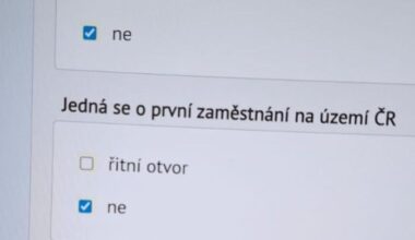 "Chyba" na stránkách MPSV?