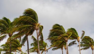 How hurricanes shape Ohio’s fall colors and winter weather despite quiet 2025