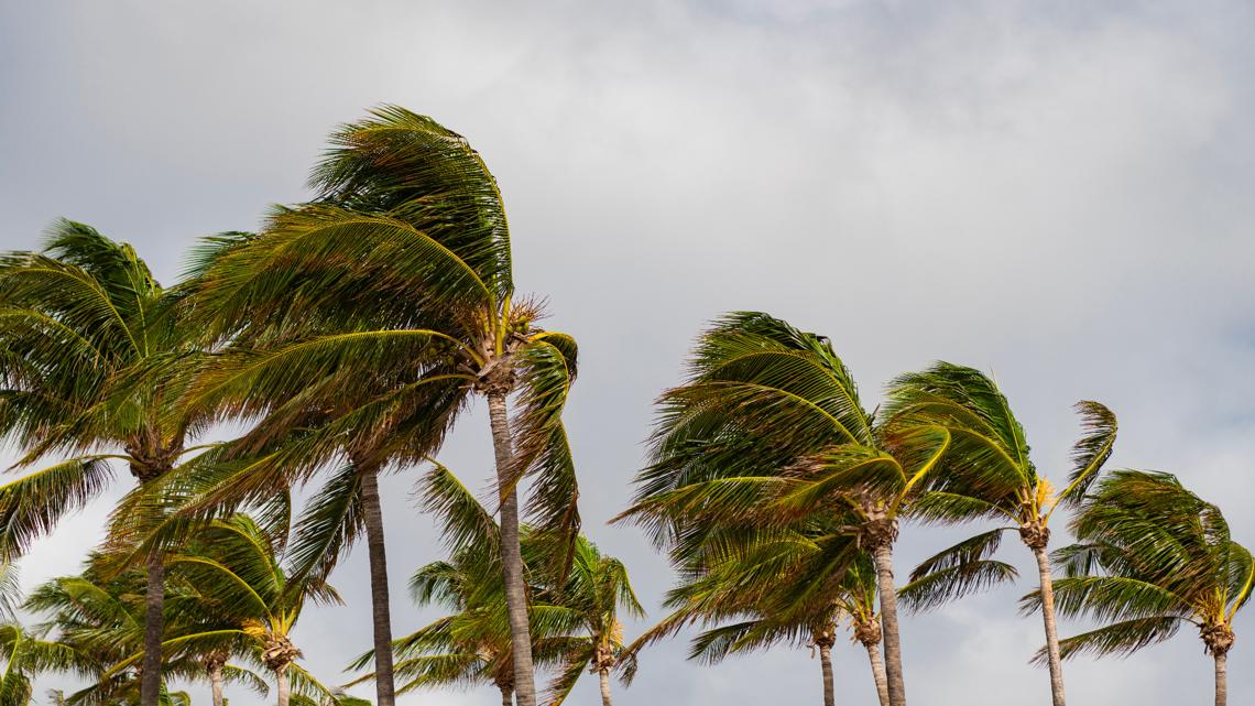 How hurricanes shape Ohio’s fall colors and winter weather despite quiet 2025