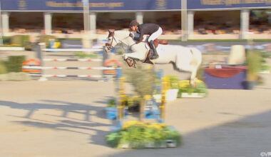 Foutloze Jos Verlooy kroont zich voor 4e keer tot Belgisch kampioen jumping