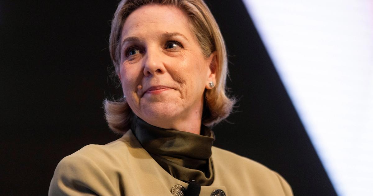 Tesla board chair says impact of Musk’s political turn on Tesla sales is ‘not conclusive’