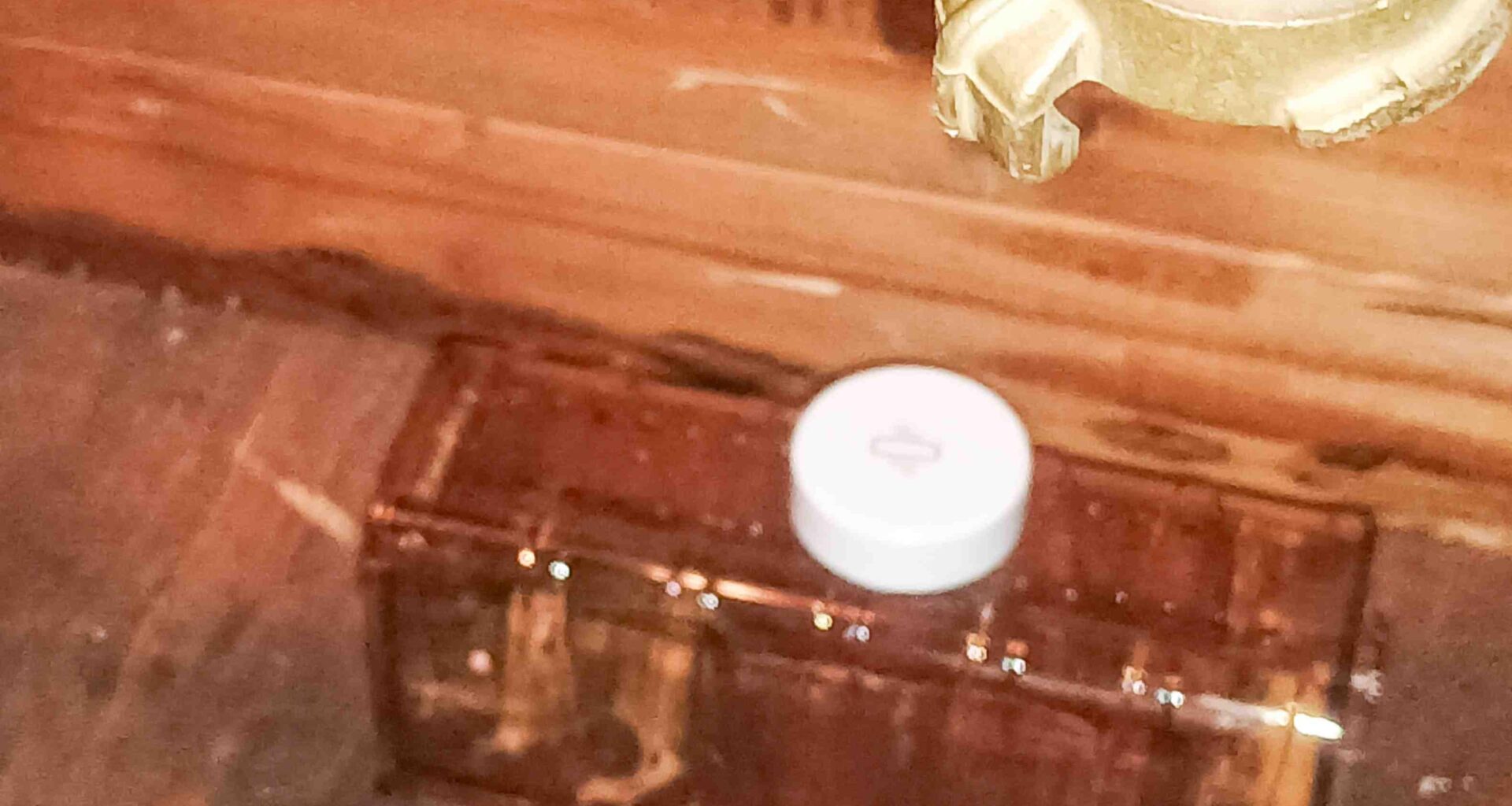 Mäuschen in der Falle. Haben es im nahen Acker, ca. 100m, ausgesetzt. Meint ihr das war ne Schnapsidee? Meine Tochter macht sich Sorgen um die Maus und ich möchte keine Schlagfällen aufstellen...