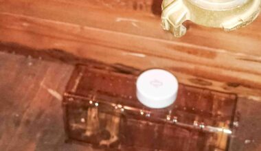 Mäuschen in der Falle. Haben es im nahen Acker, ca. 100m, ausgesetzt. Meint ihr das war ne Schnapsidee? Meine Tochter macht sich Sorgen um die Maus und ich möchte keine Schlagfällen aufstellen...