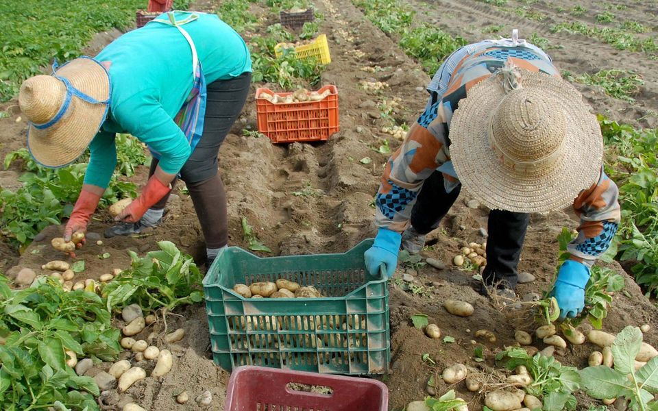 Labor market opens up to refugees