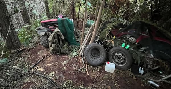 First photos show remote campsite where Marokopa children found