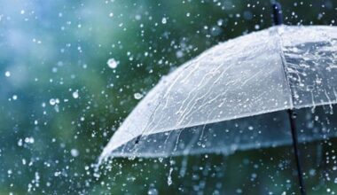 Watches upgraded to warnings as heavy rain, severe gales loom