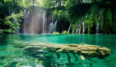 Most Sparsely Populated Croatian County Has 3 National Parks