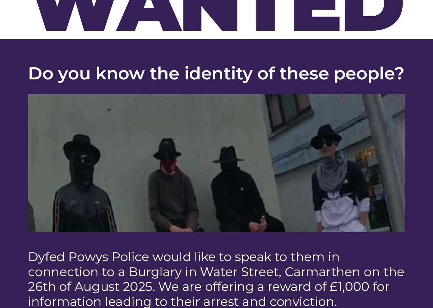 Wanted: Thieves in traditional Welsh costume