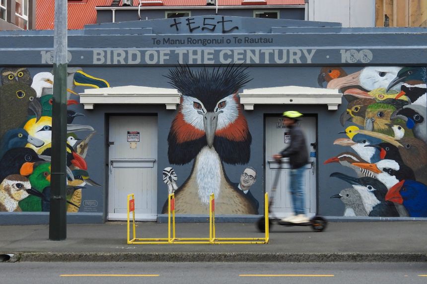 A man rides past a mural celebrating John Oliver's New Zealand's 2023 Bird of the Year campaign in Wellington, New Zealand on September 15, 2024.