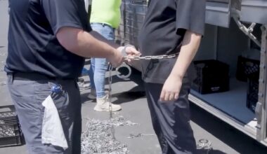 Over 300 South Koreans to return home after arrests at US Hyundai plant | Migration News