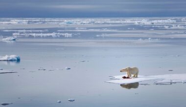 Arctic ice melting