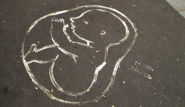 L’interruption de grossesse pourrait devenir un droit fondamental