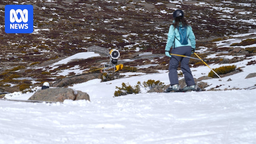 Ski field operators at Tasmania's Ben Lomond want to make more snow, but others have concerns