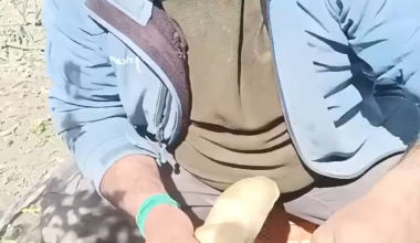 Spanish diet food be like