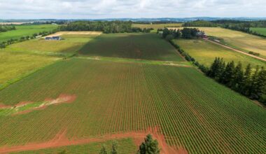 $12B in food and drink exports could be shifted away from U.S.: Farm Credit Canada