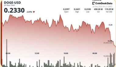 DOGE Holds Firm Above $0.24 Support in Choppy Session