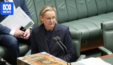 Ley writes to Republicans vowing to revoke Palestine recognition ahead of Albanese's UN address