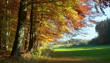 Babie leto prichádza v plnej sile: Slovensko zažije posledné tropické dni, teploty prekročia aj 30 °C. Potom nastane zlom