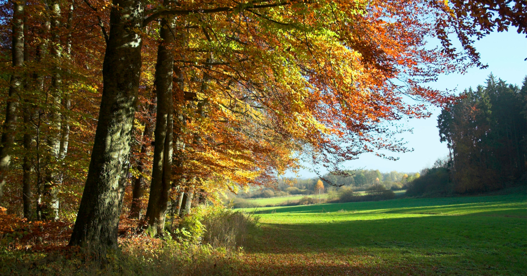 Babie leto prichádza v plnej sile: Slovensko zažije posledné tropické dni, teploty prekročia aj 30 °C. Potom nastane zlom
