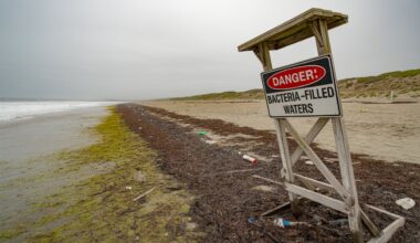 The Most Contaminated Beaches in California, Where Deadly Bacteria Threatens Every Visitor’s Health