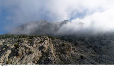 Bear Attacks Man in Meteora