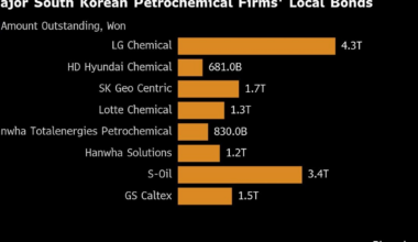 Near-Default Prompts Korea to Push for Petrochem Sector