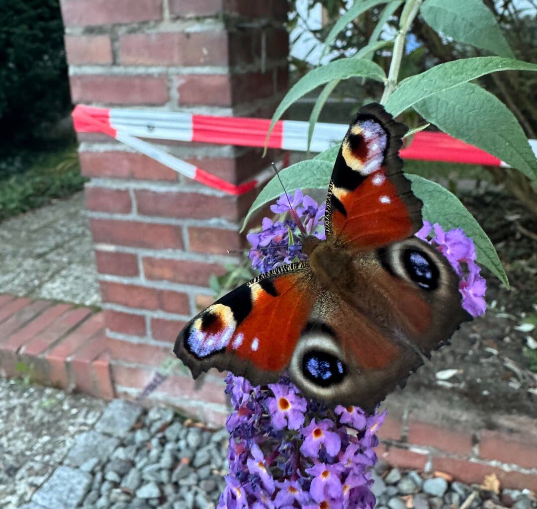 Bekanntes und unbekanntes