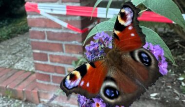 Bekanntes und unbekanntes