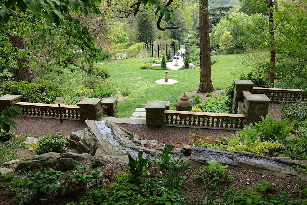 morris-arboretum-dsc00540