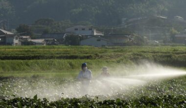 Farmer says 'we're in a very dire situation' ahead of harvest—with zero soybean orders from China, historically the largest buyer