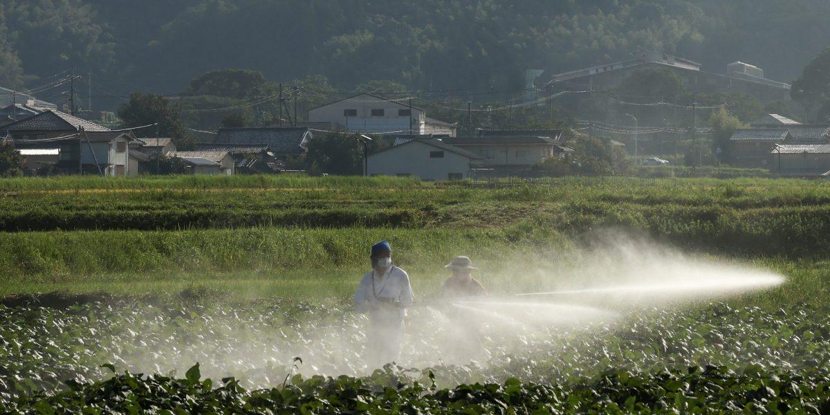 Farmer says 'we're in a very dire situation' ahead of harvest—with zero soybean orders from China, historically the largest buyer