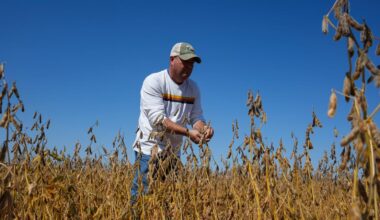 US soybean farmers seek new market amid China tariffs