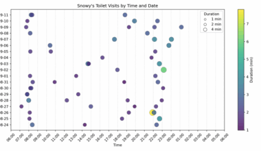 My Cat's Toilet Visit Visualization