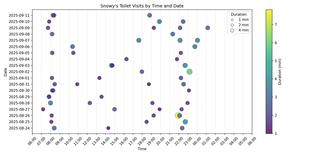 My Cat's Toilet Visit Visualization