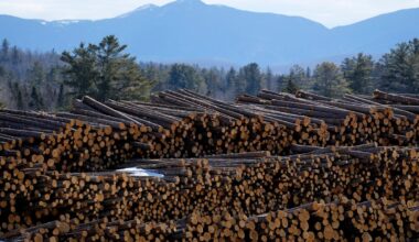 Trump tariffs on timber, lumber, furniture to hit Canada, US housing