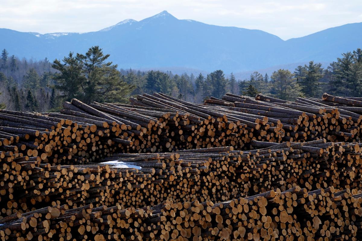 Trump tariffs on timber, lumber, furniture to hit Canada, US housing