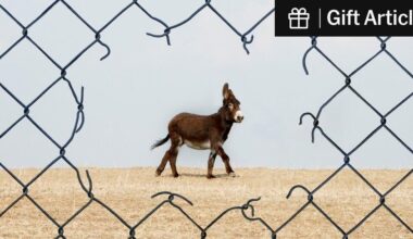 Democrats Blew It on Immigration