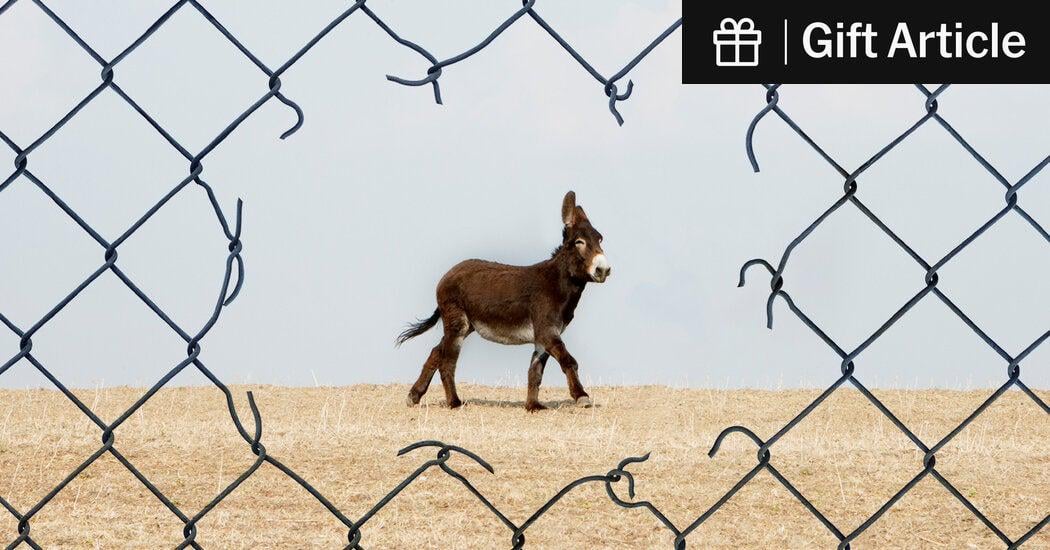 Democrats Blew It on Immigration