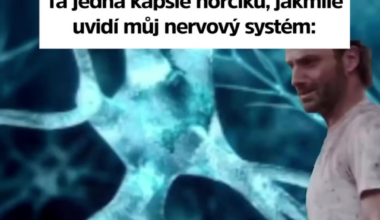 Žerte aspoň dva, ať se necítí ten jeden sám