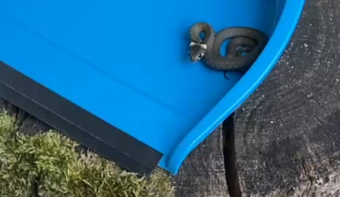 Heute im Garten gefunden