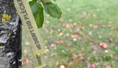 Gelbe Bänder laden zum Pflücken ein