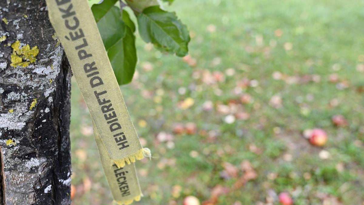 Gelbe Bänder laden zum Pflücken ein